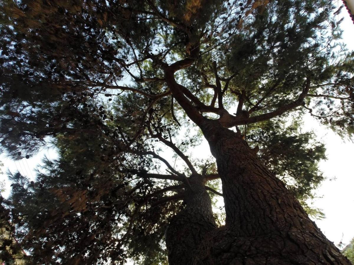 Alterra Vita Neos Marmaras Bagian luar foto